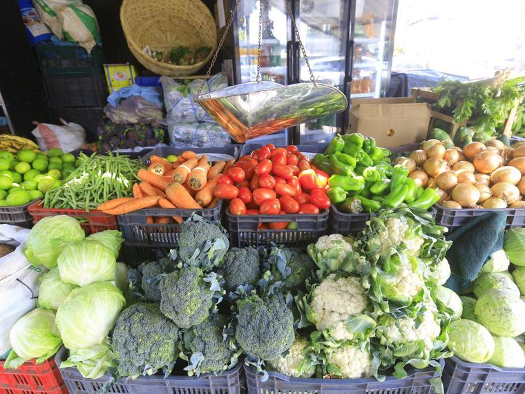 Verduras mantienen sus precios y algunas bajan en mercados sampedranos