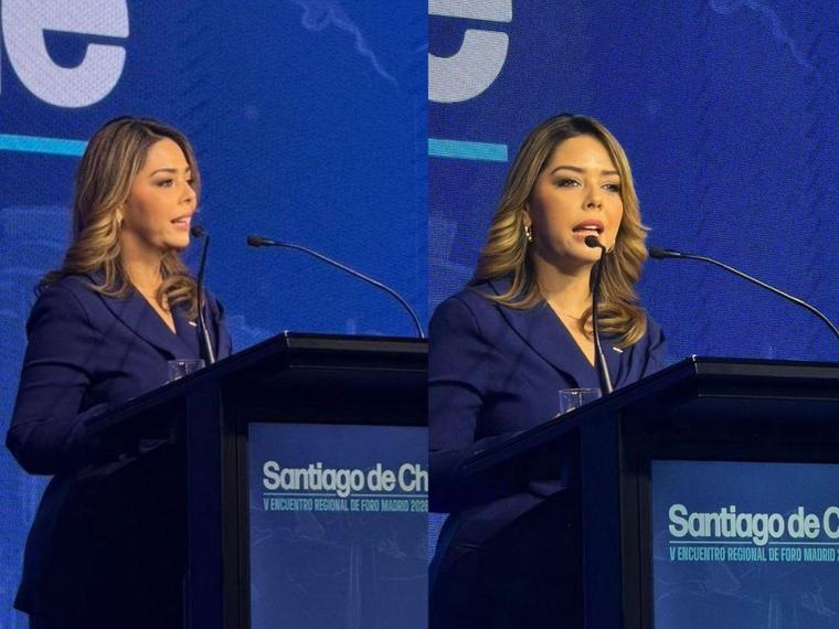 María Antonieta Mejía representa a Honduras en encuentro regional sobre democracia en Chile