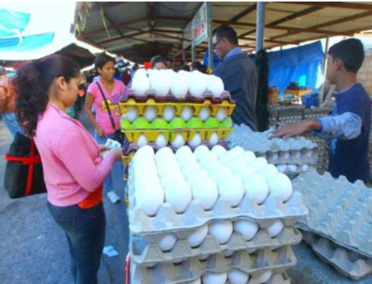 Cartón de huevos sube L14 y llega hasta L130 en los mercados capitalinos