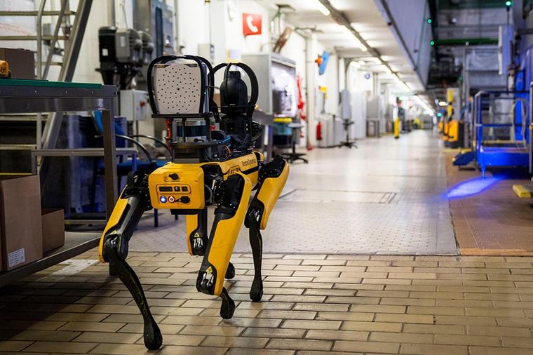 USA planea invertir 2 millones de dólares en perros robots para operativos de ICE