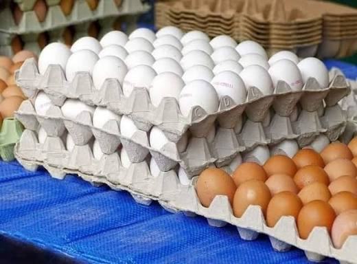 Anuncian nuevo precio del cartón de huevos: ¿cuándo entrará en vigencia?